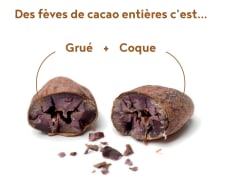 feves de cacao
